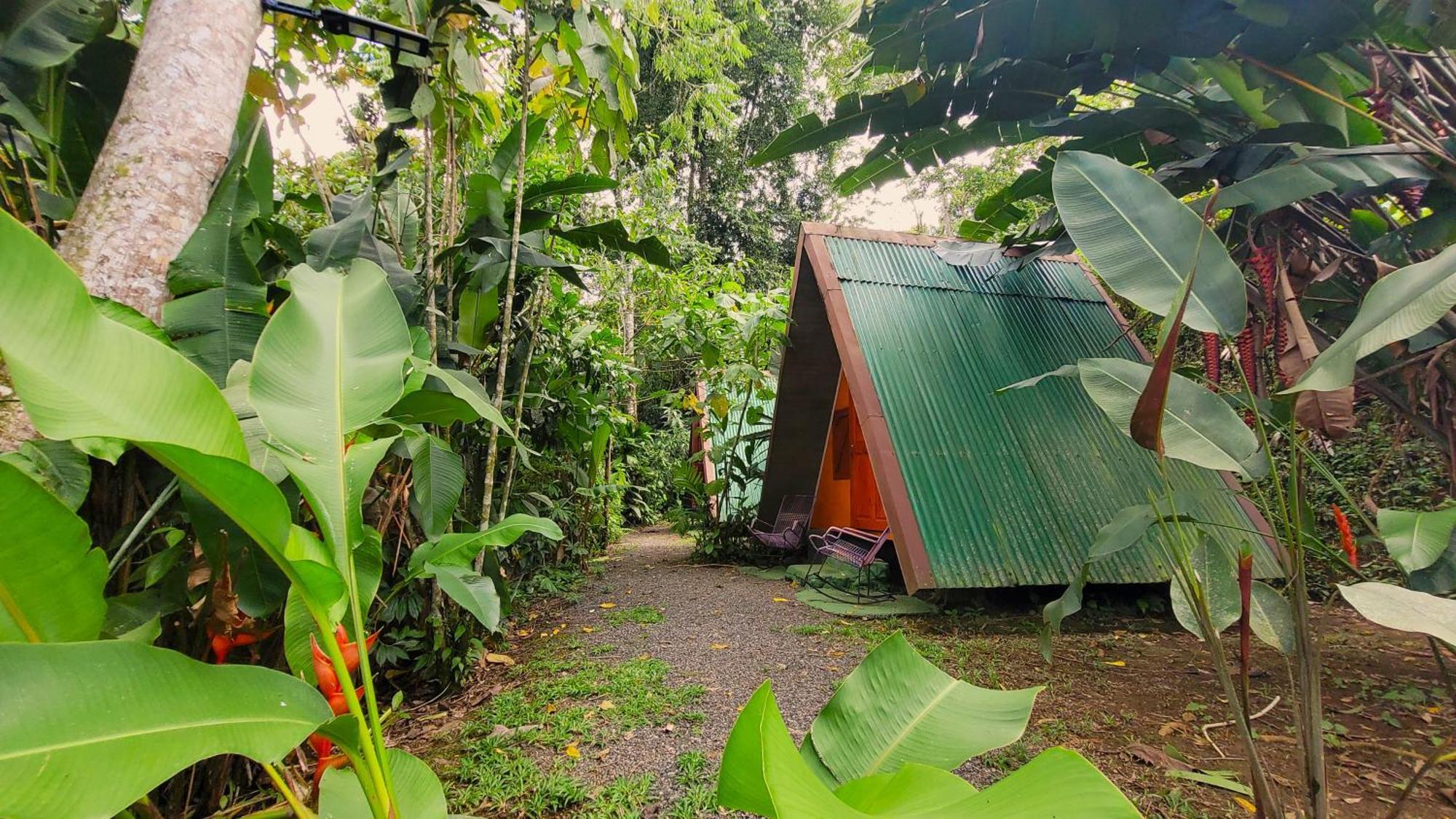 Chalets Silencio Del Bosque La Fortuna Exteriör bild