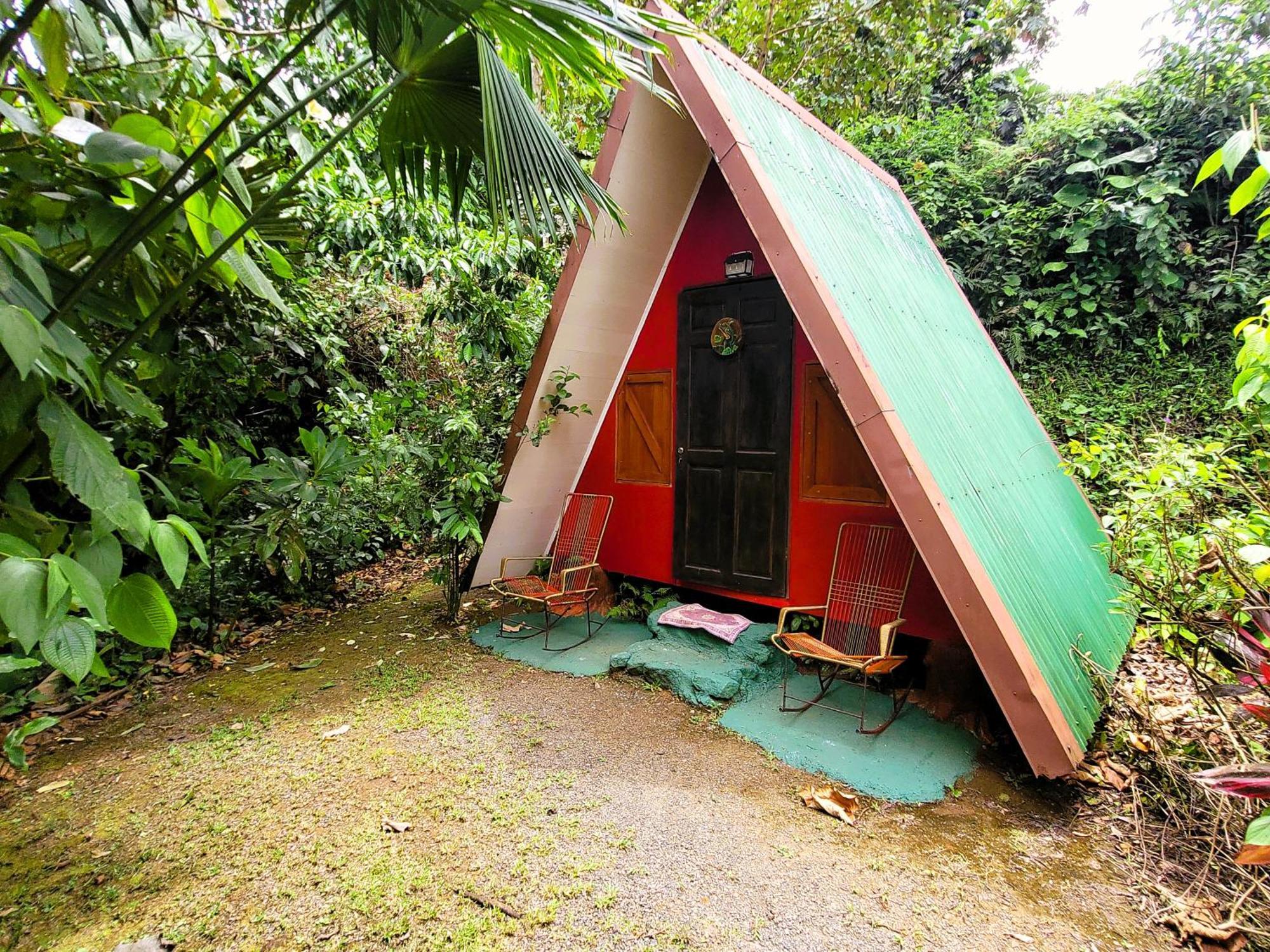 Chalets Silencio Del Bosque La Fortuna Exteriör bild
